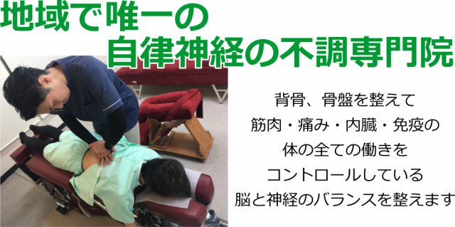 地域で唯一の自律神経の不調専門院。柏市で整体なら宮田カイロプラクティックにお任せください。