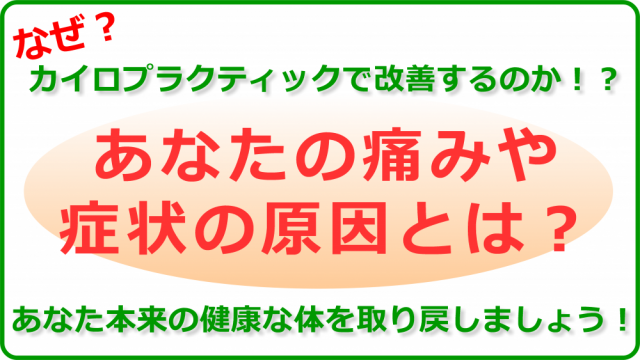 なぜ？カイロプラクティックで改善するのか？あなたの痛みや症状の原因とは？千葉県柏市で整体院をお探しなら宮田カイロプラクティック！