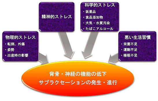 サブラクセーションの様々な原因画像。柏市で整体なら宮田カイロプラクティックにお任せください。