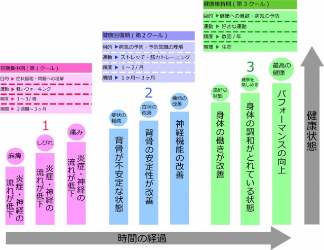 カイロプラクティックケアの三段階。柏市で整体なら宮田カイロプラクティックにお任せください。